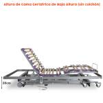 Cama Articulada con carro elevador de baja altura - bote de grasa GRATIS
