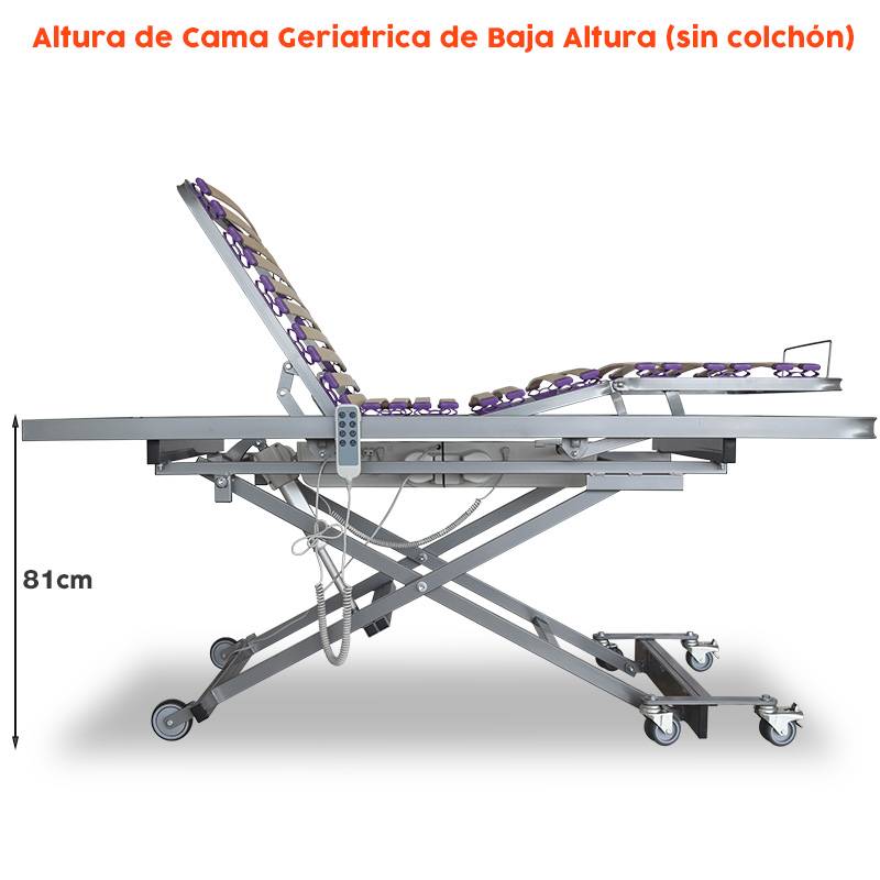 Cama Articulada con carro elevador de...