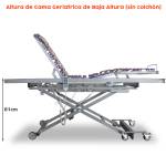 Cama Articulada con carro elevador de baja altura - bote de grasa GRATIS